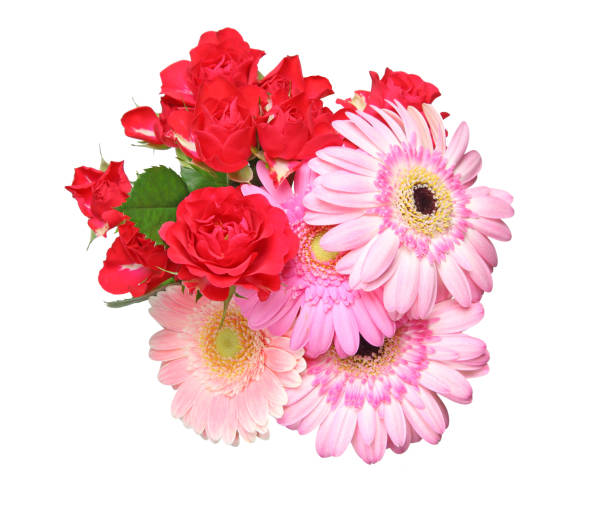 istock Bouquet of roses and transvaal daisy 815328646