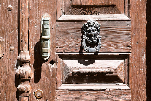 Lion Door Knob on the wooden door