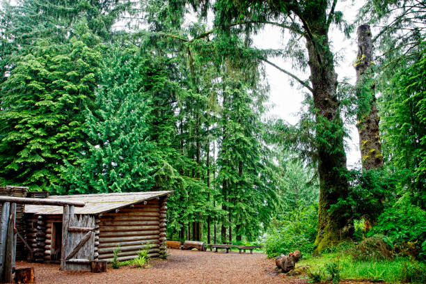 istock Lewis and Clark's Fort Clatsop in the Old Growth Forest 815337576