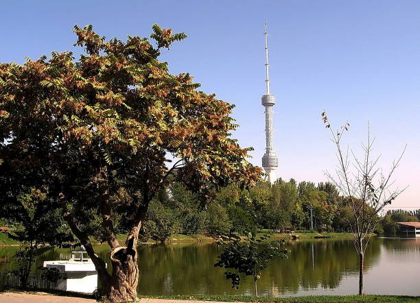 istock Tashkent Yunusabad Pond and Tower 2007 815364930
