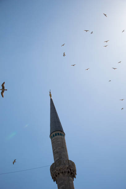 istock Minaret of an Ottoman style mosque 815376872