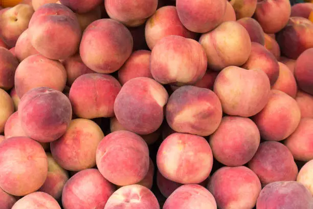 Photo of juicy peaches