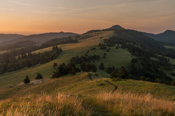 istock Beautiful view in Pieniny national park with sunrise 815406266
