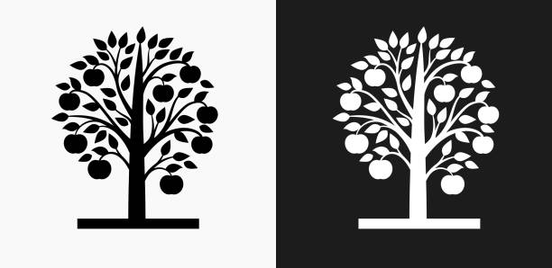 ilustrações, clipart, desenhos animados e ícones de ícone de árvore de maçã em preto e branco vector backgrounds - nature black and white leaf black background