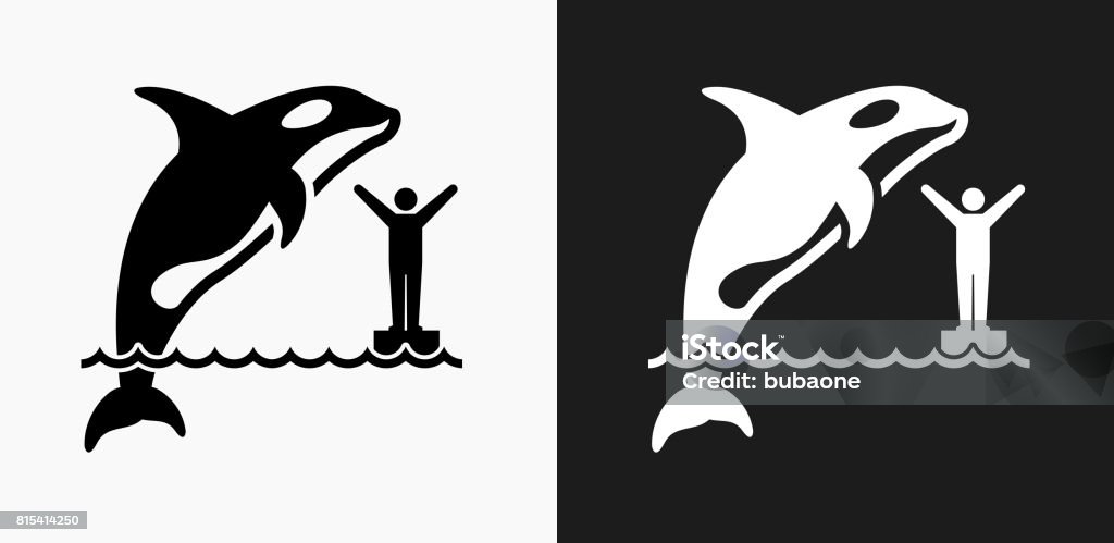 Orca Icon on Black and White Vector Backgrounds Orca Icon on Black and White Vector Backgrounds. This vector illustration includes two variations of the icon one in black on a light background on the left and another version in white on a dark background positioned on the right. The vector icon is simple yet elegant and can be used in a variety of ways including website or mobile application icon. This royalty free image is 100% vector based and all design elements can be scaled to any size. Animal stock vector