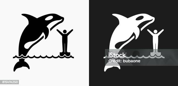 Orca Icon On Black And White Vector Backgrounds Stock Illustration - Download Image Now - Animal, Black And White, Black Background