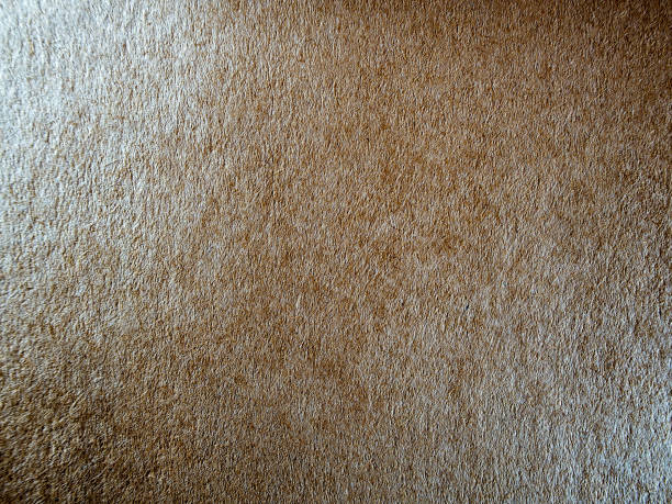 istock Texture of brown cardboard paper 815414638