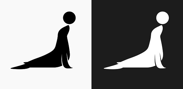 Sea Lion Icon on Black and White Vector Backgrounds. This vector illustration includes two variations of the icon one in black on a light background on the left and another version in white on a dark background positioned on the right. The vector icon is simple yet elegant and can be used in a variety of ways including website or mobile application icon. This royalty free image is 100% vector based and all design elements can be scaled to any size.