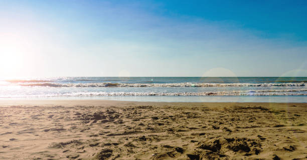 Beach and sea on a sunny day