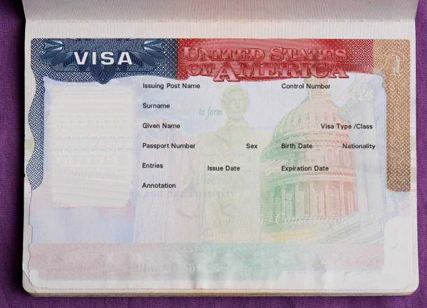 パスポートに空白のアメリカのビザ - passport passport stamp usa blank ストックフォトと画像