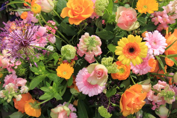 istock Colorful wedding flowers 815445674