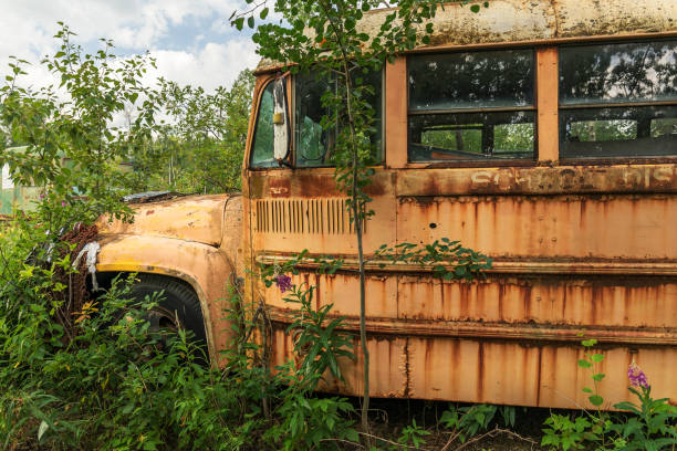 istock Vintage Yellow School Bus 815453346