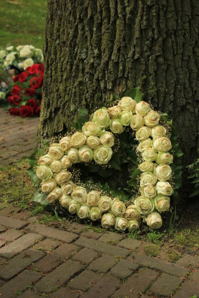 istock Sympathy flowers near a tree 815471542