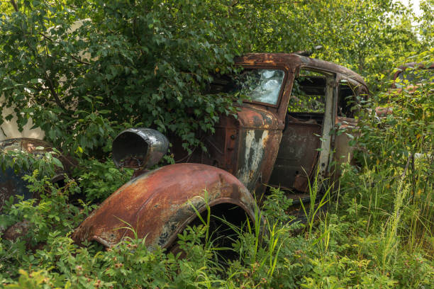 istock Antique car in a field 815474422