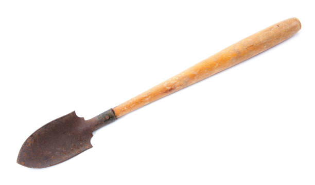 istock Shovel gardener isolated on white.Small shovel isolated 815474792