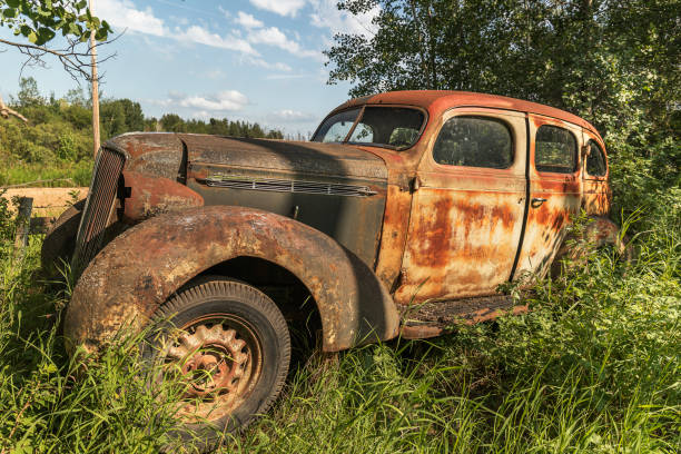 istock Antique cars in a field 815477148