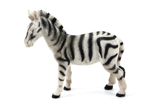 Toy animals isolated on white background.Zebra toy isolated.Plastic zebra toy isolated