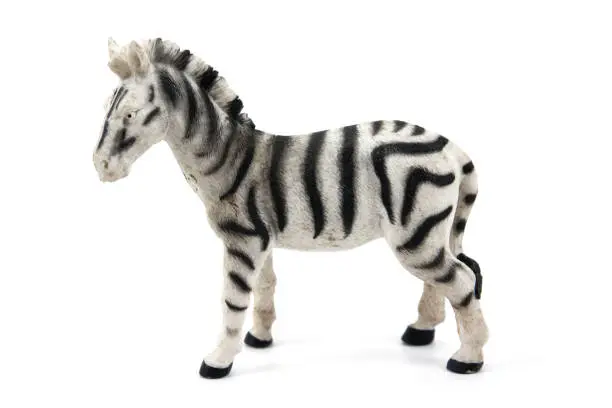 Photo of Toy animals isolated on white background.Zebra toy isolated.Plastic zebra toy isolated