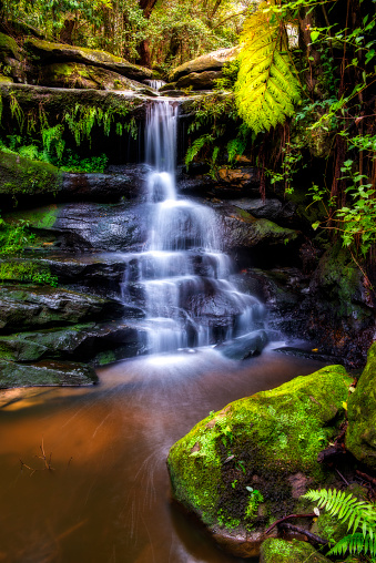 Natural in Blue Mountains national park