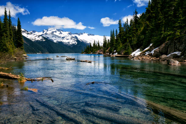 istock Garibaldi Lake in summer, BC, Canada 815497298