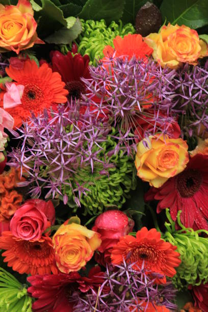 istock Colorful wedding flowers 815497322