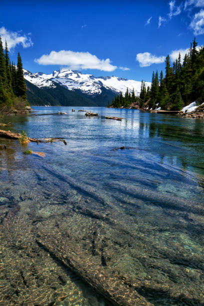 istock Garibaldi Lake in summer, BC, Canada 815497334