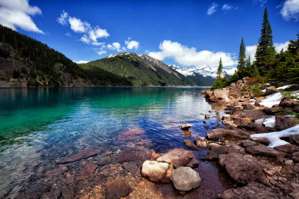 istock Garibaldi Lake in summer, BC, Canada 815497744