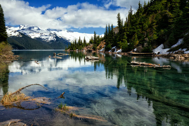 istock Garibaldi Lake in summer, BC, Canada 815497752