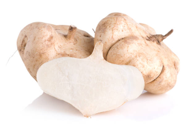 Cassava, Yam bean, Pachyrhizus erosus (L.) Urbar, Jicama on white background Cassava, Yam bean, Pachyrhizus erosus (L.) Urbar, Jicama isolated on white background pachyrhizus erosus stock pictures, royalty-free photos & images
