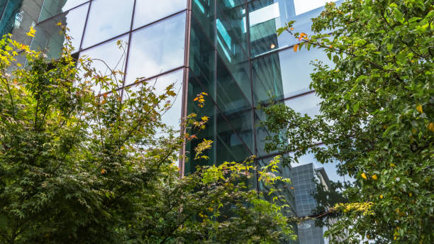 istock view of city hall exterior with trees,seattle 815511968