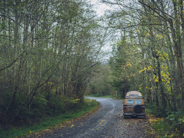 istock travel trailer parked on roadside amidst trees 815514792