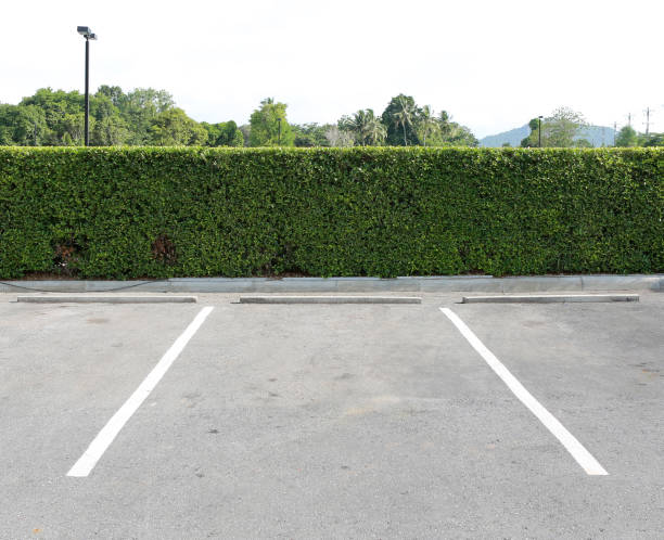istock Parking lane outdoor in public park. 815517072