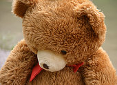 teddy bear