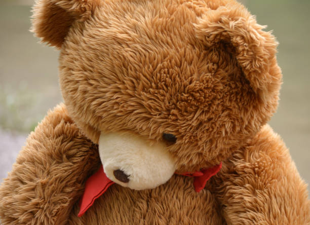 teddy bear stock photo