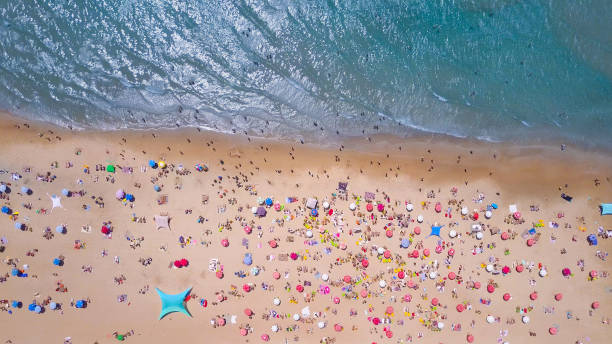 istock Tropical beach with colorful umbrellas - Top down aerial view 815517914