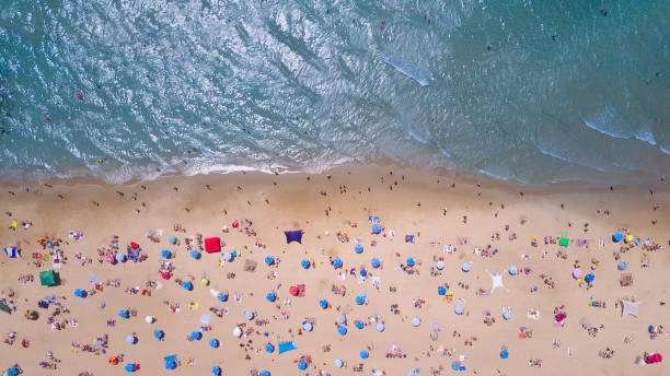 istock Tropical beach with colorful umbrellas - Top down aerial view 815517974
