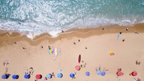 istock Tropical beach with colorful umbrellas - Top down aerial view 815518050