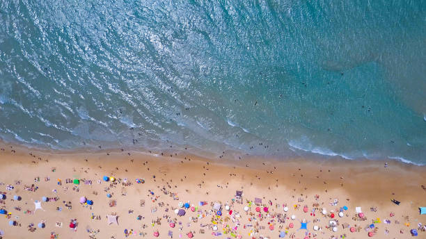 istock Tropical beach with colorful umbrellas - Top down aerial view 815520836