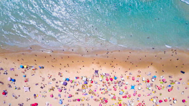 istock Tropical beach with colorful umbrellas - Top down aerial view 815525186