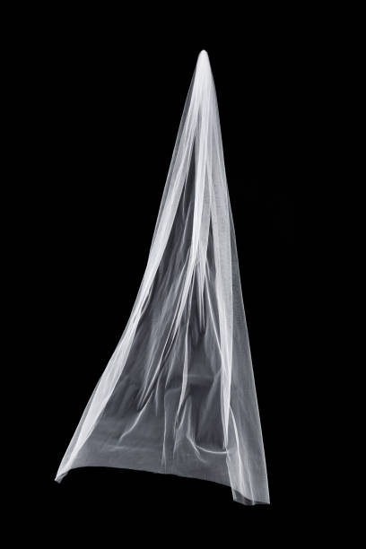 istock wedding white Bridal veil isolated on black background 815528118