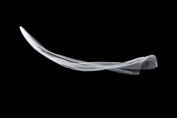 istock wedding white Bridal veil isolated on black background 815528272