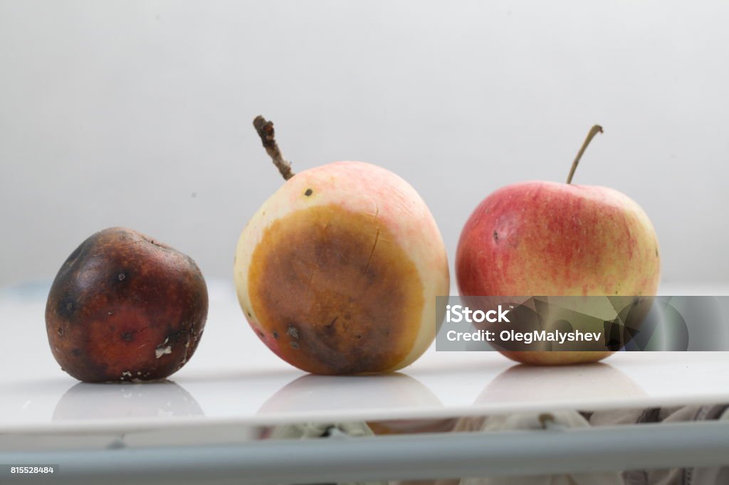 3 Rotten Apples Three Apples Rotting Process Stock Photo - Download Image Now - Aging ...