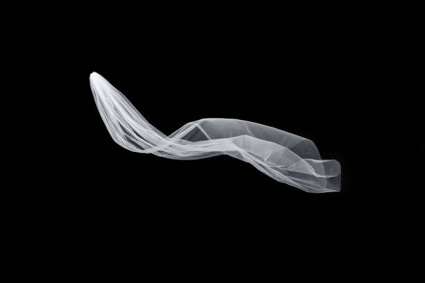 istock wedding white Bridal veil isolated on black background 815528494