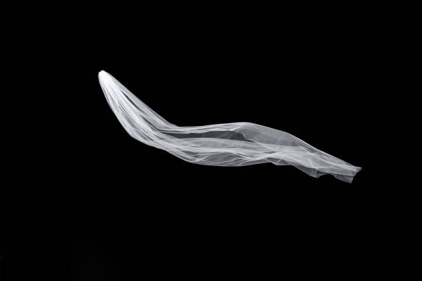 istock wedding white Bridal veil isolated on black background 815528518