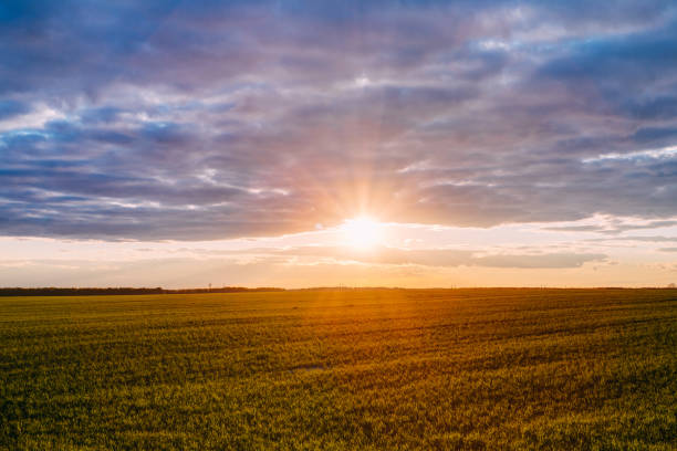 istock Sunset Sunrise Over Field Or Meadow. Bright Dramatic Sky Over Ground. Countryside Landscape Under Scenic Colorful Sky At Sunset Dawn Sunrise. Skyline, Horizon. Warm Colours. 815538556
