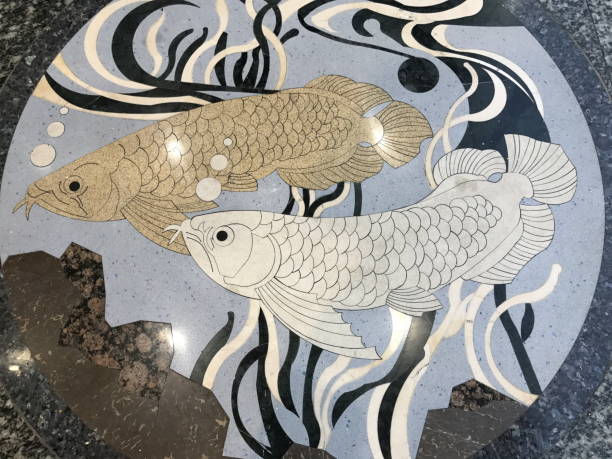 Terrazzo or Polished stone surface with couple arowana fish pattern.