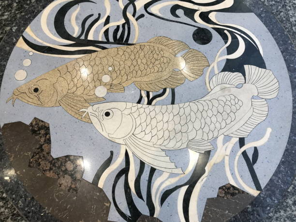 Terrazzo or Polished stone surface with couple arowana fish pattern. Terrazzo or Polished stone surface with couple arowana fish (silver and gold color) pattern. gold arowana stock pictures, royalty-free photos & images