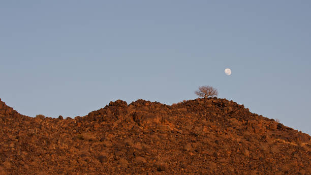 A beautiful desertic landscape in Namibia, Africa