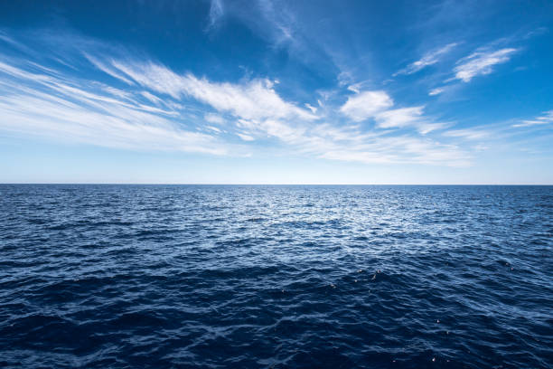 istock View on the water during a boat trip 815585128