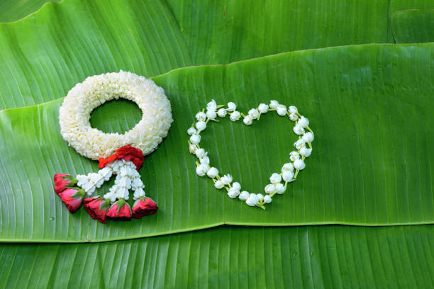 Thai traditional jasmine garland.symbol of Mother's day in thailand on Banana leaf.Thai traditional jasmine garland.symbol of Mother's day in thailand on Banana leaf.
